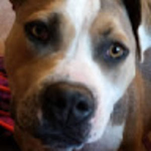 Meet your Posher, Ashlyn